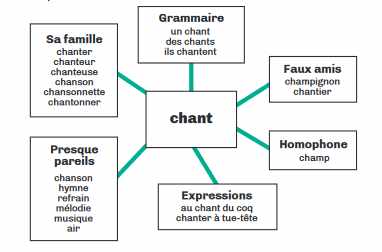 Corpus lexical